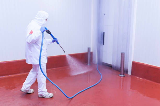 Best Building Exterior Washing  in Oil City, PA